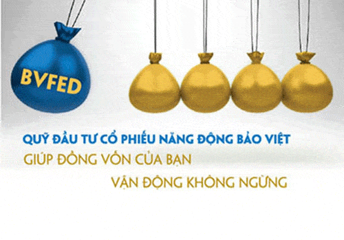 Quỹ Đầu tư Cổ phiếu Năng động Bảo Việt