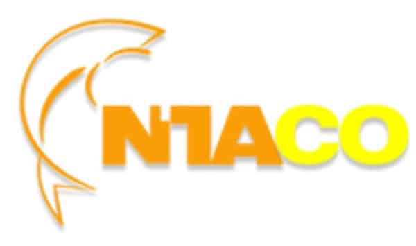 ATA của Công ty cổ phần Ntaco