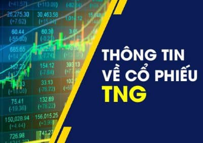 Thông tin về cổ phiếu TNG
