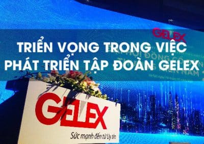 Triển vọng trong việc phát triển tập đoàn Gelex