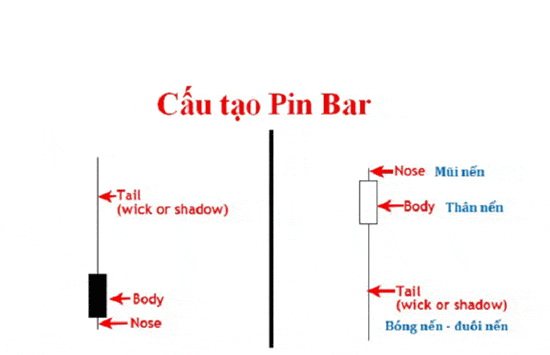Cấu tạo nến Pin Bar 