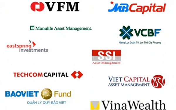 Một số quỹ đầu tư tại Việt Nam