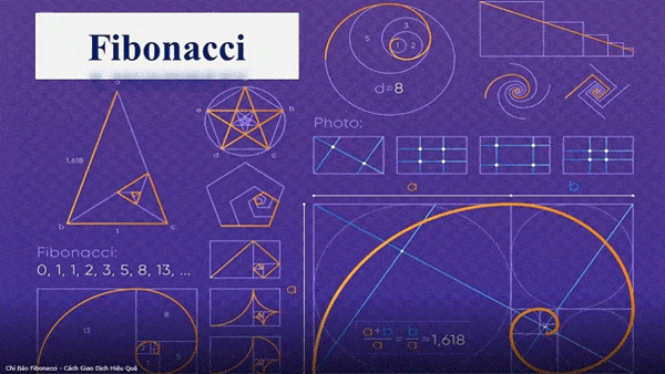 Ý nghĩa của Fibonacci