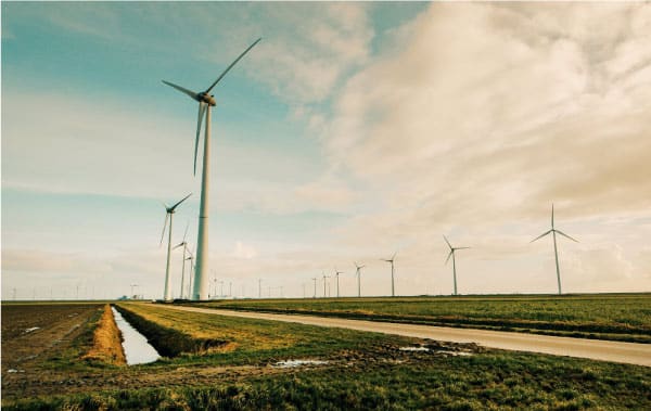 Cổ phiếu điện gió có nên đầu tư hay không?