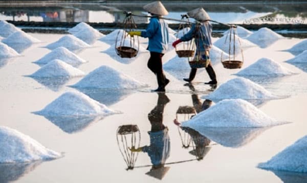 Đôi nét về ngành muối Việt Nam 