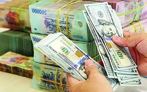 Thực trạng về vấn đề đô la hóa tại Việt Nam 