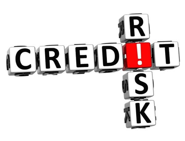 Rủi ro tín dụng (Credit Risk)
