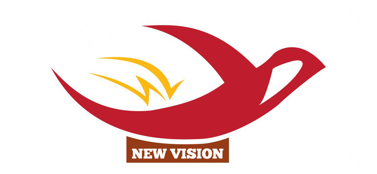 Chủ đầu tư Công ty Bất động sản New Vision