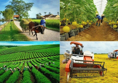 Phát triển nông nghiệp bền vững là gì?