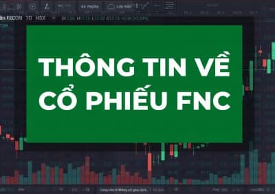 thông tin về cổ phiếu FNC